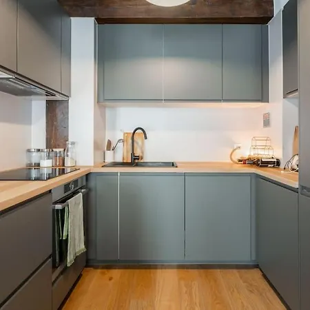 Apartment Magnifique 2 Pieces A Bastille *